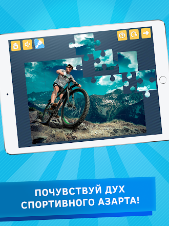 Game screenshot Головоломки.Спорт: тренируем в mod apk
