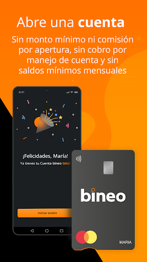 bineo Screen 2