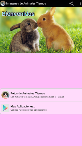 Android application Imagenes de Animales Tiernos screenshort