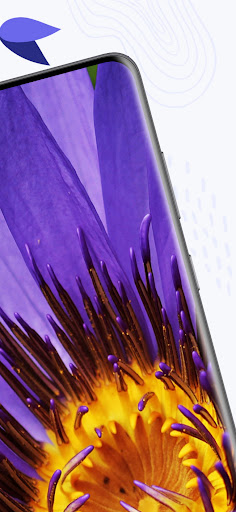 Beautiful Flowers HD Wallpaper