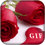 Rose GIF 2019 Collection icon