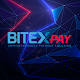 BitexPay Download on Windows