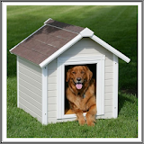 Dog Houses Design icon