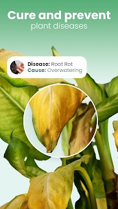 Blossom – Plant Identification MOD APK (Premium Unlocked) 6