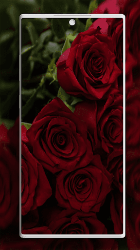 Screenshot of Rose Wallpaper