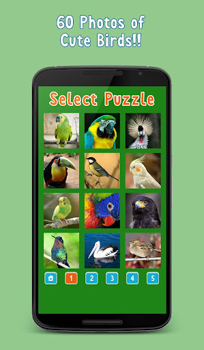 Birds Puzzle Game Screen 2