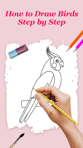 Android application How to Draw Birds Step by Step screenshort