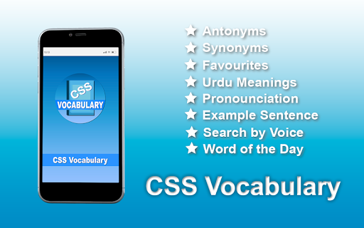 CSS Vocabulary- Pro Guide 6