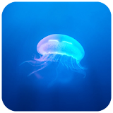 Jellyfish CM locker Theme icon