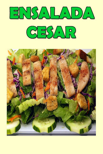 Recetas de Ensaladas Screen 2