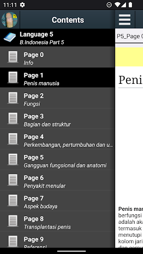 Pratinjau aplikasi