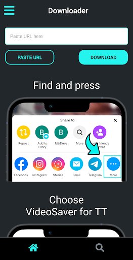 Downloader for TT Screen 2