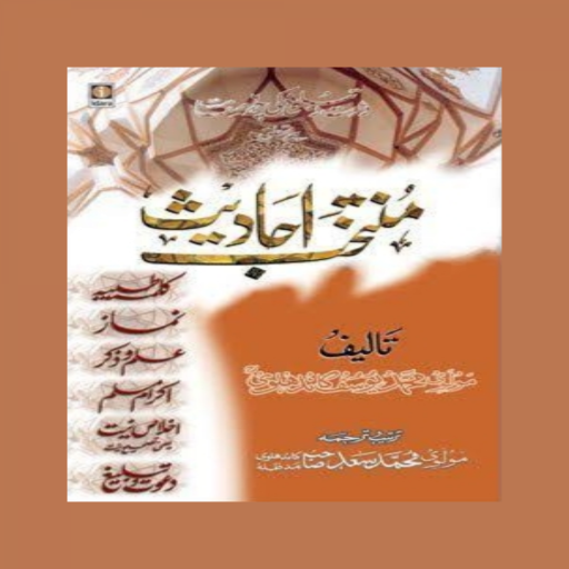 Muntakhab Ahadees logo