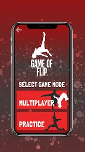 Game of FLIP