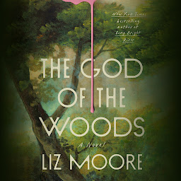 Icon image The God of the Woods: A Novel