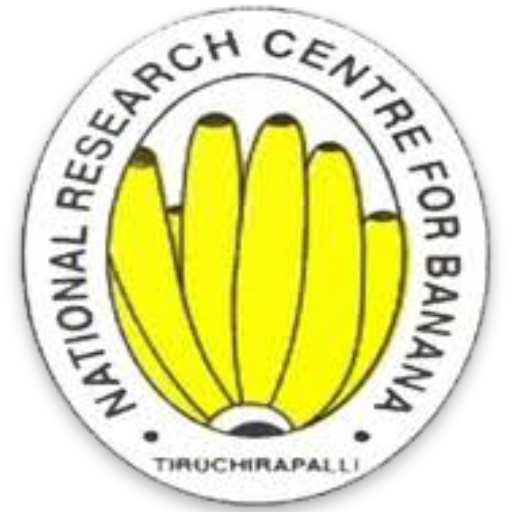 Banana Info Hindi logo