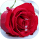 Love Flowers & Roses Gif - Androidアプリ