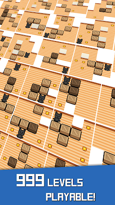 Cat's push box 999 - Screenshot 2