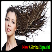 African Gimbal Hairstyles 1.0 Icon