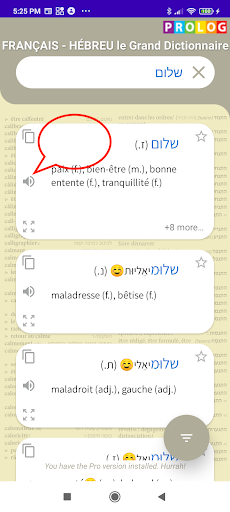 Hébreu-Français Grand Dict. Screen 2