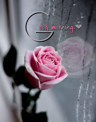 Android application GoodMorning Images GIF 2023 screenshort