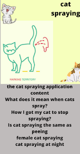 cat spraying