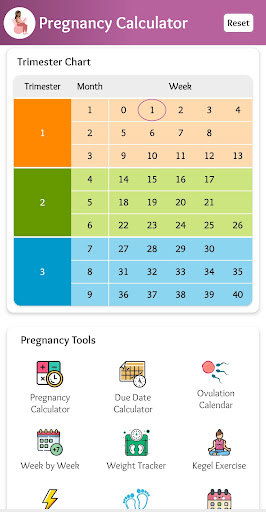 Pregnancy calculator & Tracker Screen 3