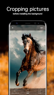 Horse Wallpapers 4K 5.5.0 APK screenshots 3