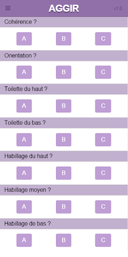 AGGIR - GIR et Calcul APA Screen 2