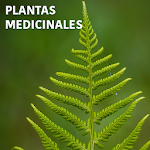 Cover Image of Download Plantas Medicinales GRATIS en español 1.02 APK