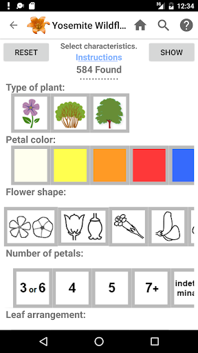Screenshot of Yosemite Wildflowers