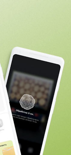 NeuroWood Screen 2
