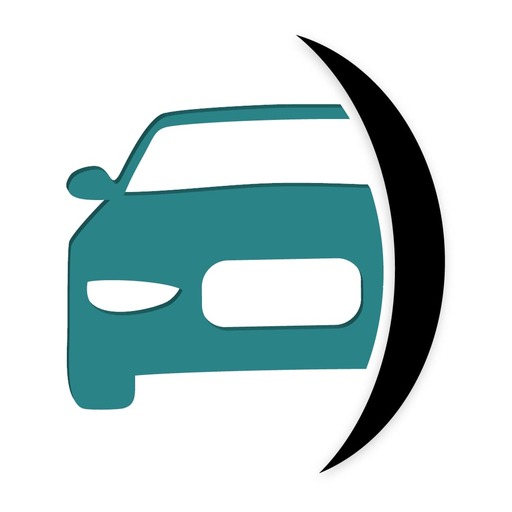 Flip Any Motors logo
