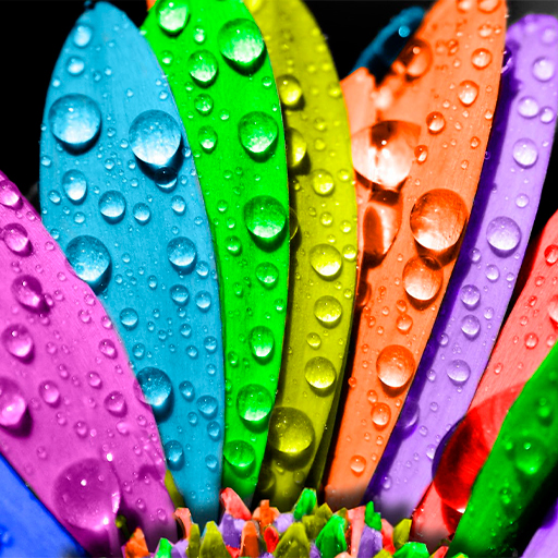 Colorful Wallpapers logo