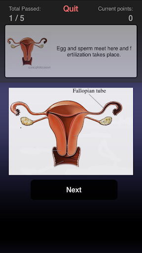 LWCcare1 Screen 3