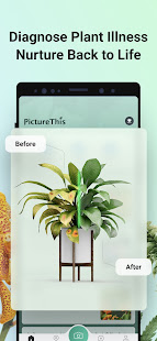 PictureThis - Plant Identifier  Screenshots 4
