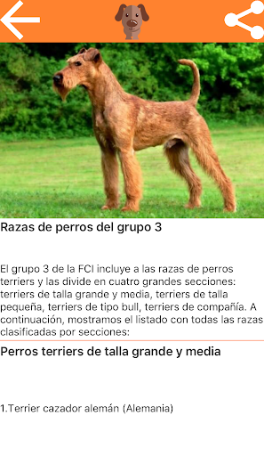 Razas de perros Screen 2