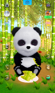 Talking Panda For PC 2