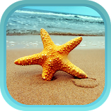 Beach theme and Launcher icon