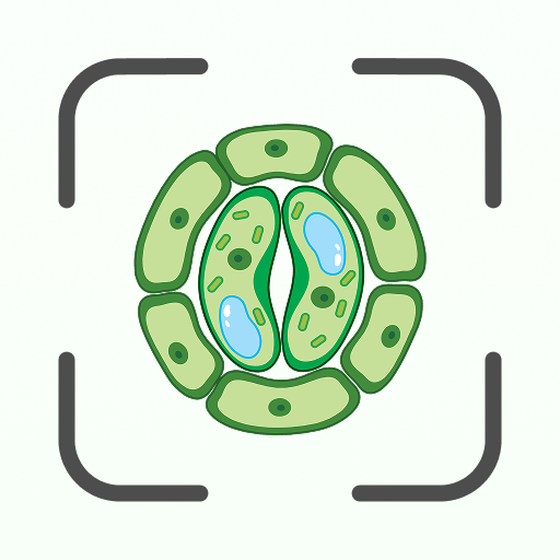 Biology AI: Homework Helper Download on Windows