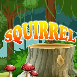 KUBET | SquirrelBubble KU