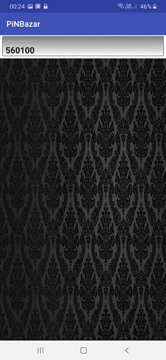 PiNBazar Screen 2