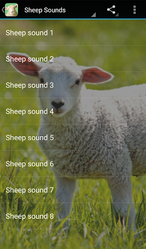 Sheep Sounds Screenshot 3 - AppWisp.com