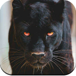 Cover Image of Baixar Black Panther HD Wallpaper 1.09 APK