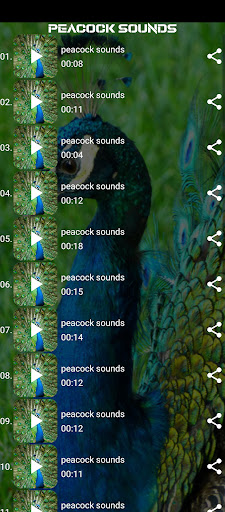 peacock sounds Screen 2