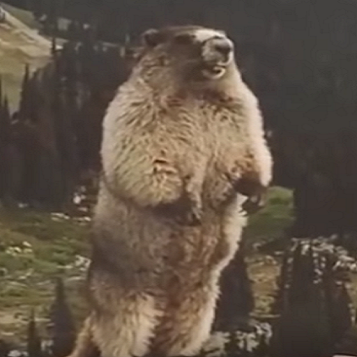 Marmotte de la peur  Icon