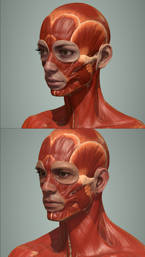 Action Anatomy - 3D anatomy pose app for artists