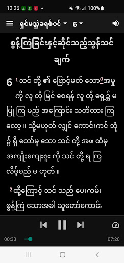 Screenshot of Burmese MS Bible