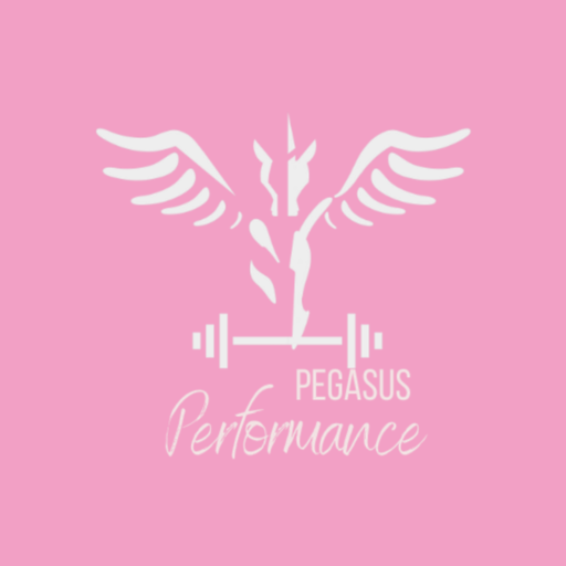 Pegasus Performance logo