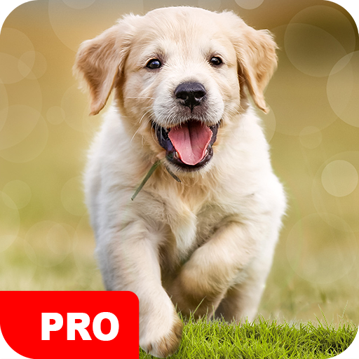 Dog Wallpapers PRO logo